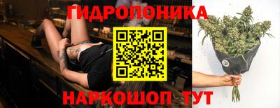 молекула духа Тверь