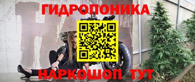 молекула духа Тверь