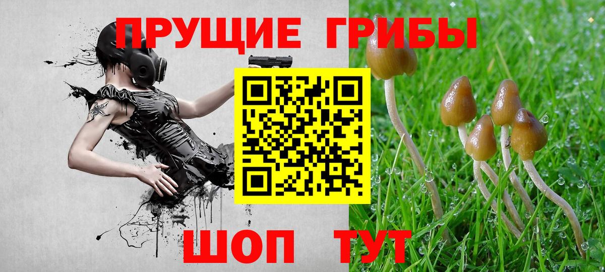 Галлюциногенные грибы MAGIC MUSHROOMS Новосибирск