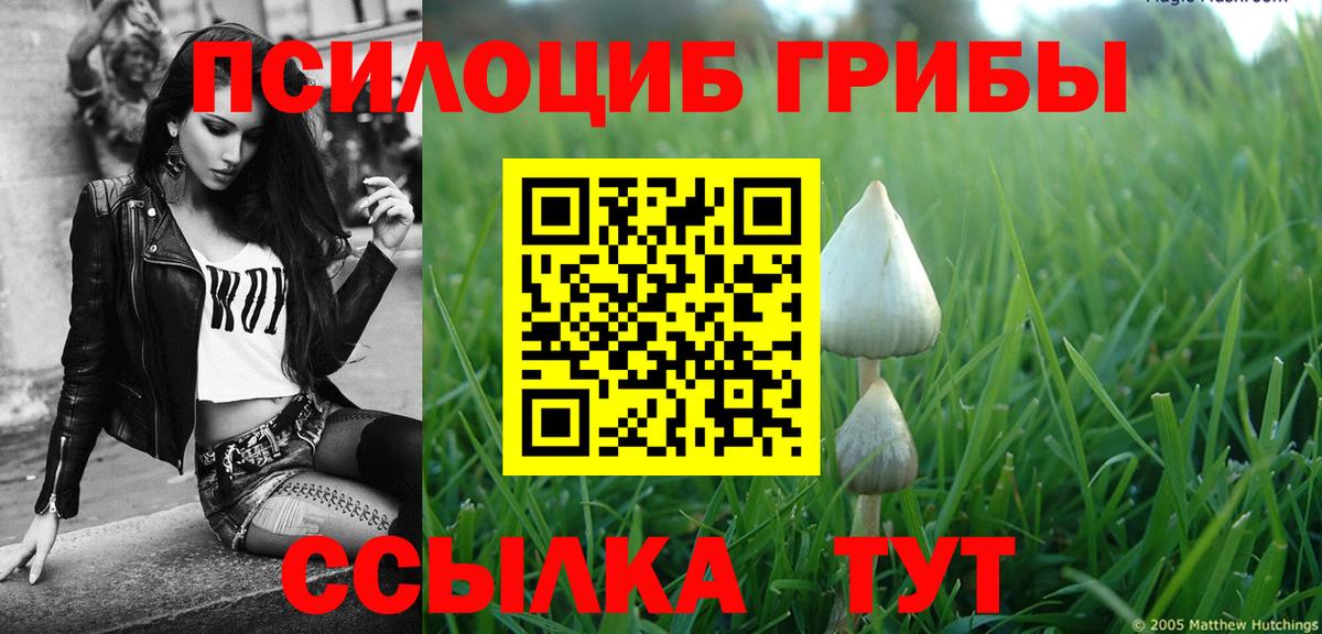 Псилоцибиновые грибы мицелий  купить наркотики сайты  Новосибирск  Галлюциногенные грибы Magic Shrooms  Вход с VPN 